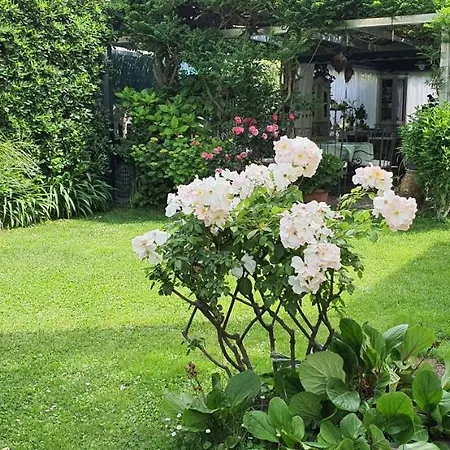 Bed & Breakfast Il Giardino In Citta La Spezia