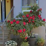 Il Giardino In Citta 3* لا سبيتسْيا
