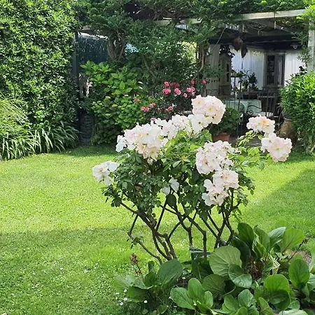 Bed & Breakfast Il Giardino In Citta La Spezia