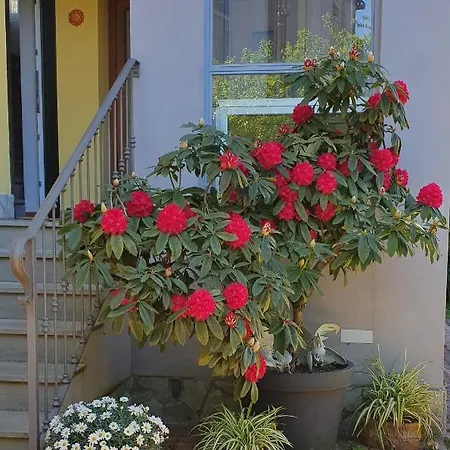 Il Giardino In Citta 3* La Spezia