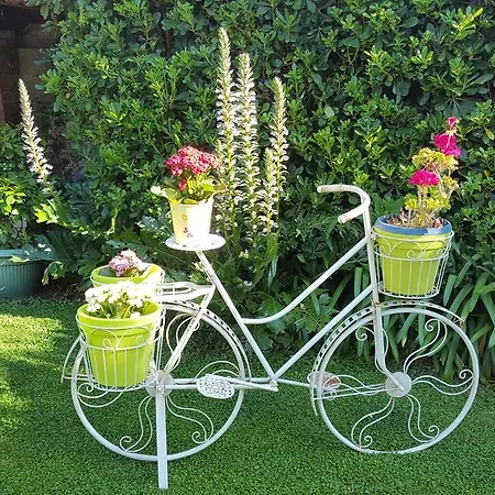 Il Giardino In Citta Bed & Breakfast 3*